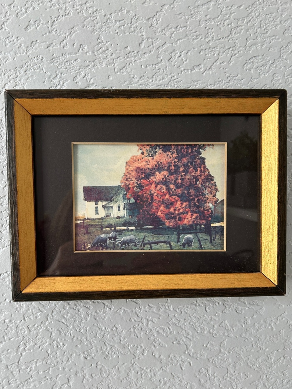 Gold Frame Rural Landscape Wall Art - Unbranded